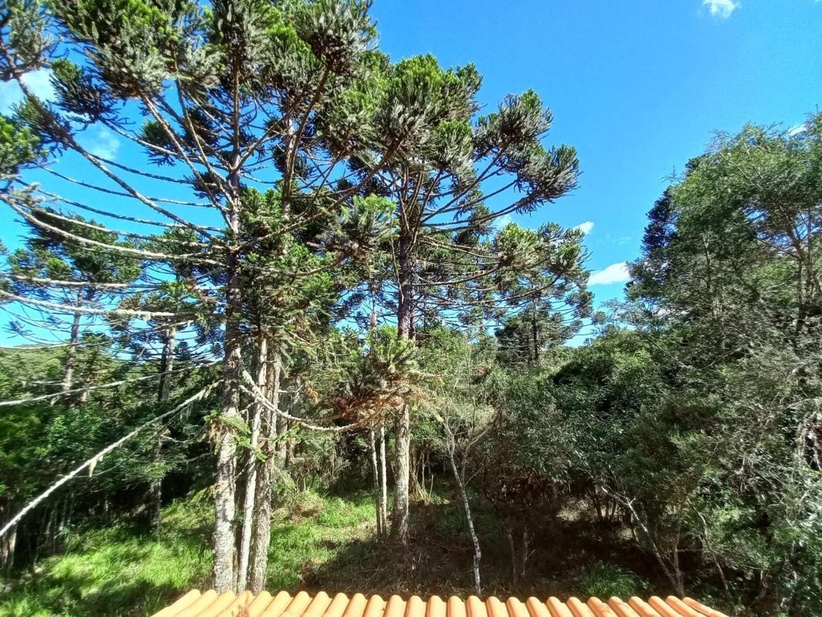 Cambará Cabana Na Floresta Rincao Do Fortaleza מראה חיצוני תמונה