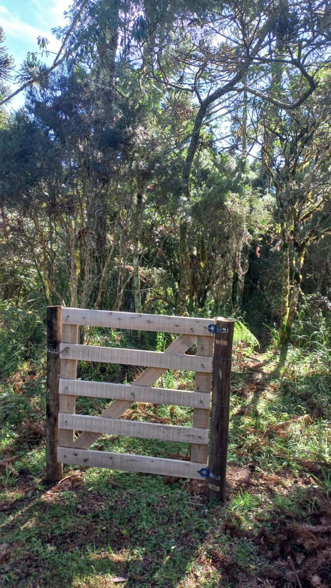 Cambará Cabana Na Floresta Rincao Do Fortaleza מראה חיצוני תמונה
